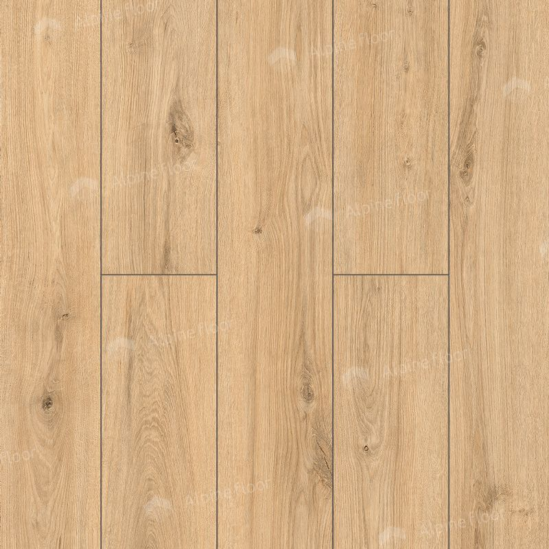 Ламинат Дуб Намиб 62757