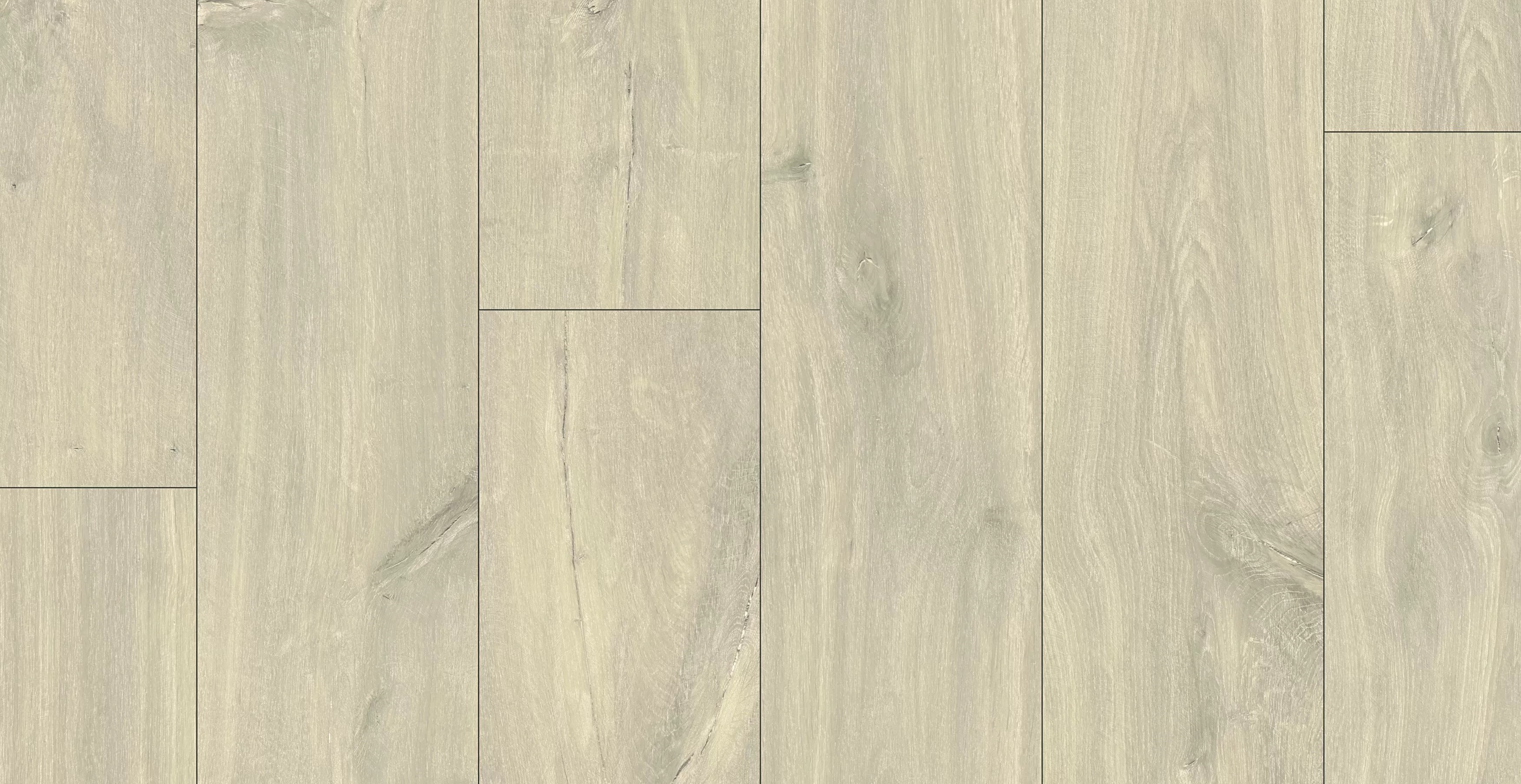 Кубинский дуб CLH1655