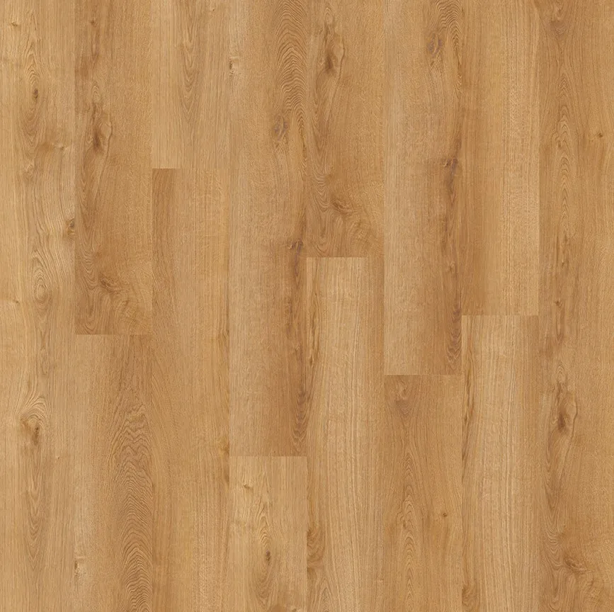 Дуб осенний ASPC20252