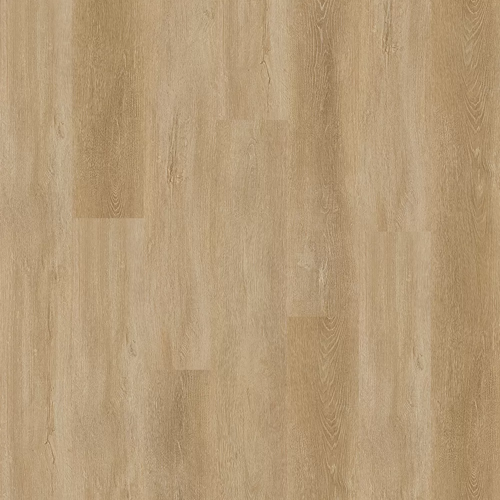 Дуб золотой ASPC20251