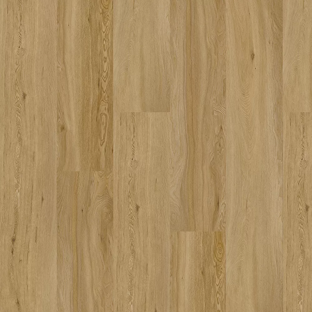 Дуб солнечный OSPC20263