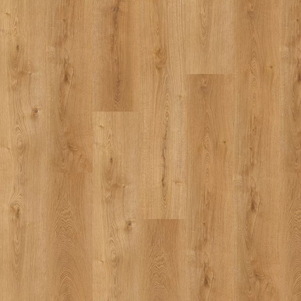 Дуб пустынный OSPC20264