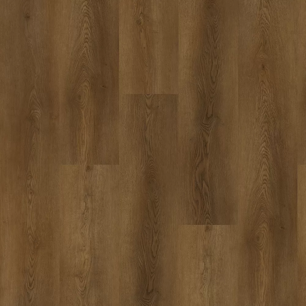 Дуб прибрежный OSPC20265