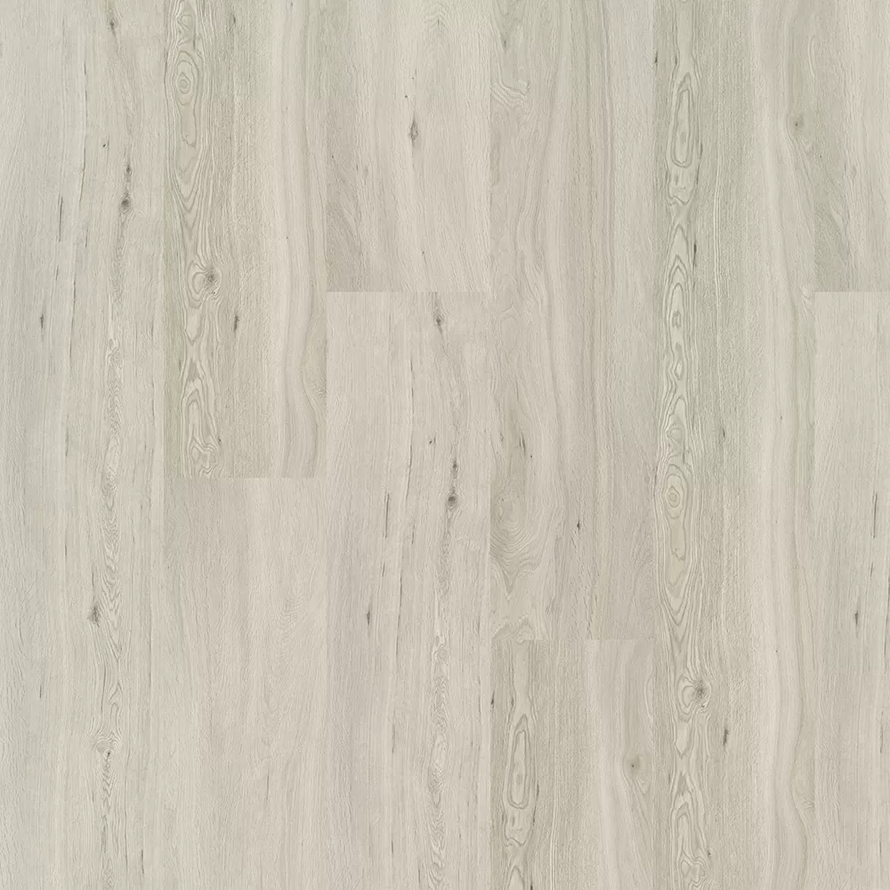 Дуб облачный OSPC20260