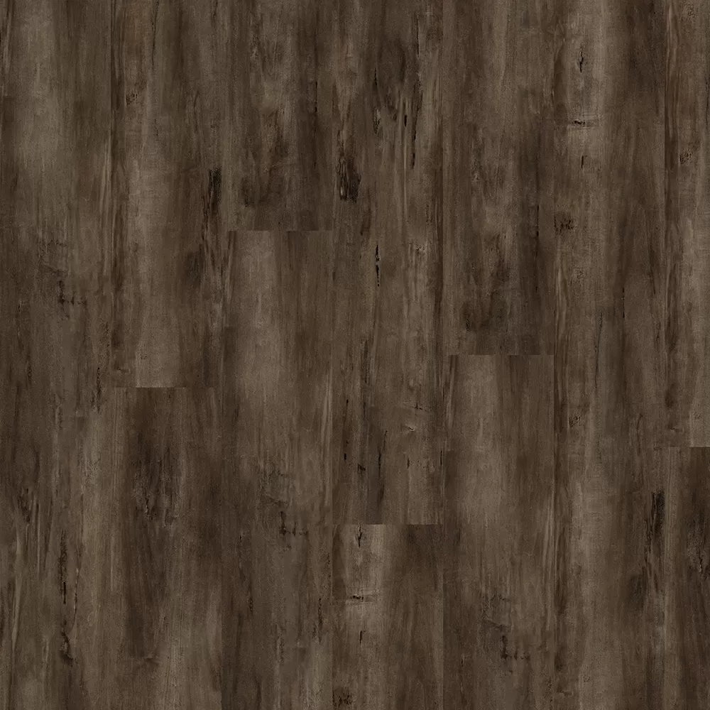 Дуб тенистый OSPC20261