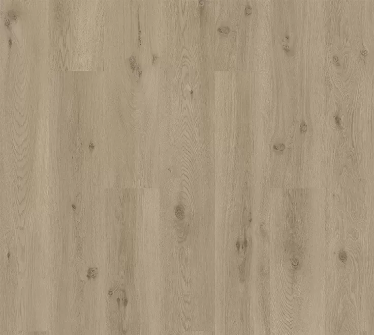 Морской бриз теплый тауп SGSPC20318