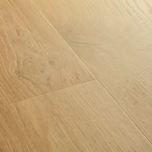 Дуб береговой медовый AVSPT40320